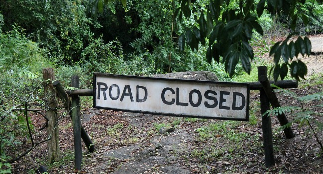 Road closed sign in a forest