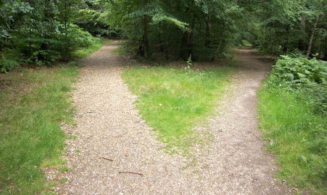 Fork in a path