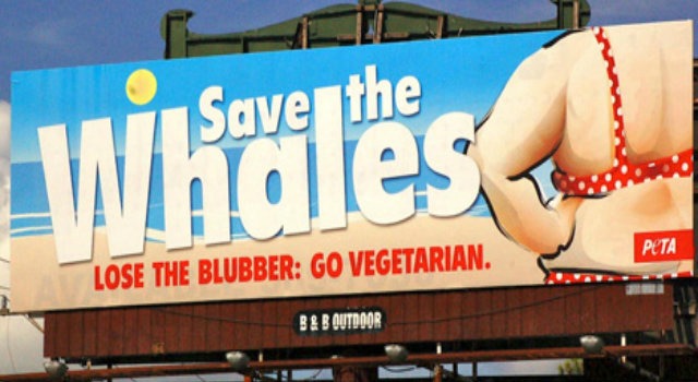 peta save the whales advertisement with a large woman on it